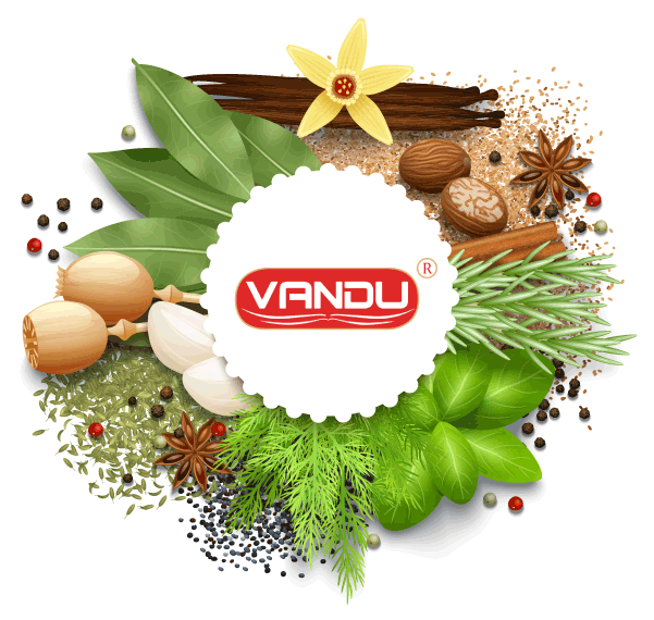 Spice Illustration